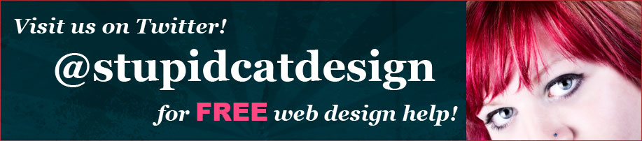 Visit us on Twitter! @StupidcatDesign for free web design help!