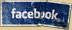 Stupidcat Facebook Page